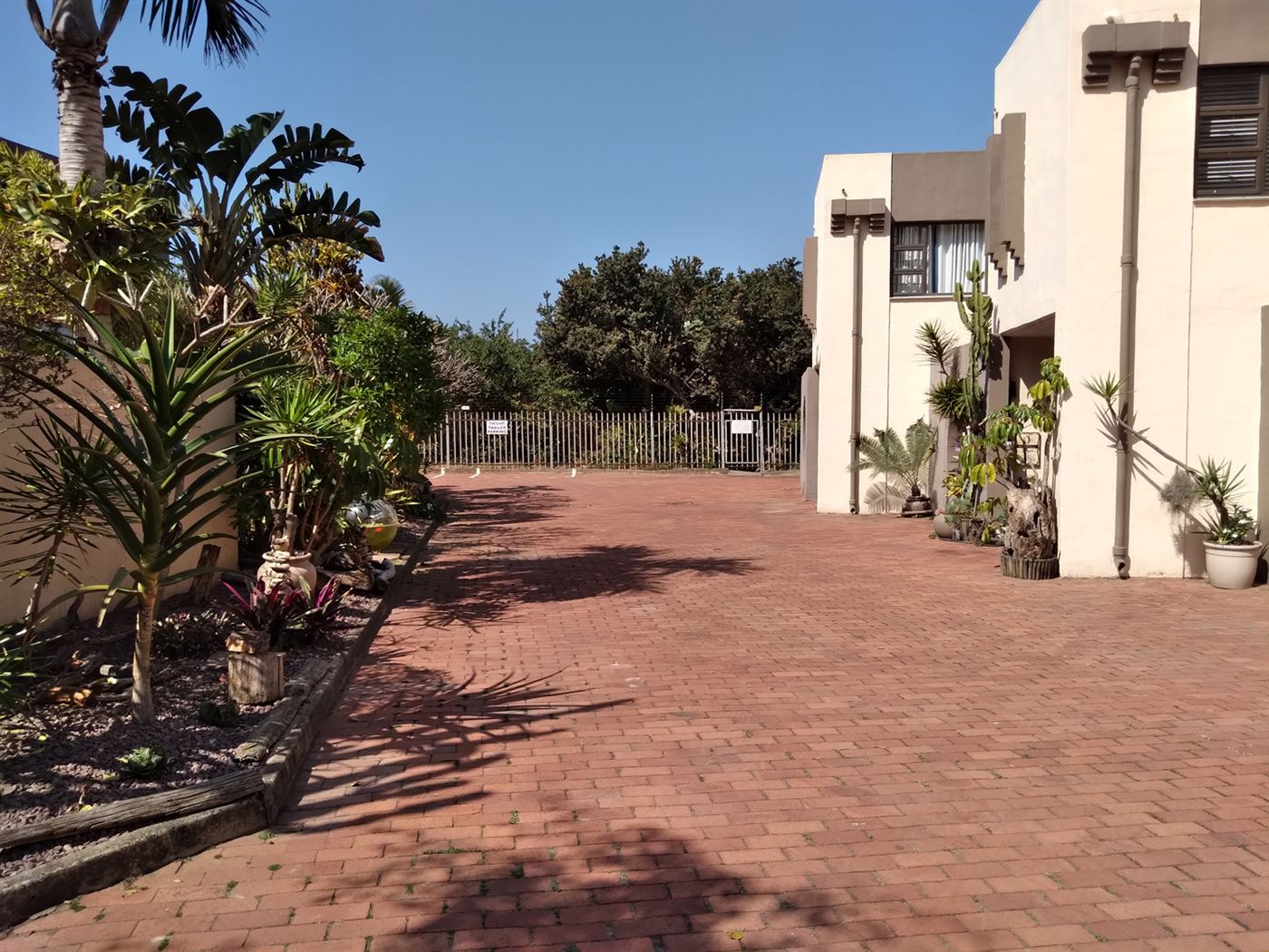 Cabana Mio duplexes with palms and paved courtyard